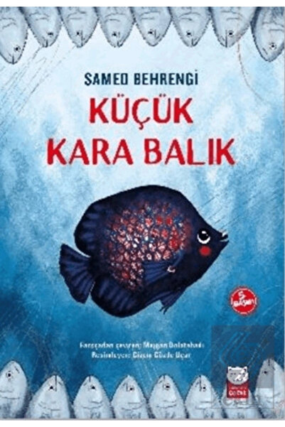 Kırmızı Kedi Çocuk Küçük Kara Balık Samed Behrengi Kırmızı Kedi Yayınları