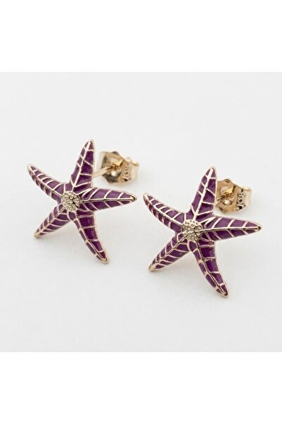 Siya Silver Starfish Steel Earrings