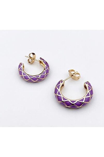 Siya Silver Mineli Striped Color Steel Earrings