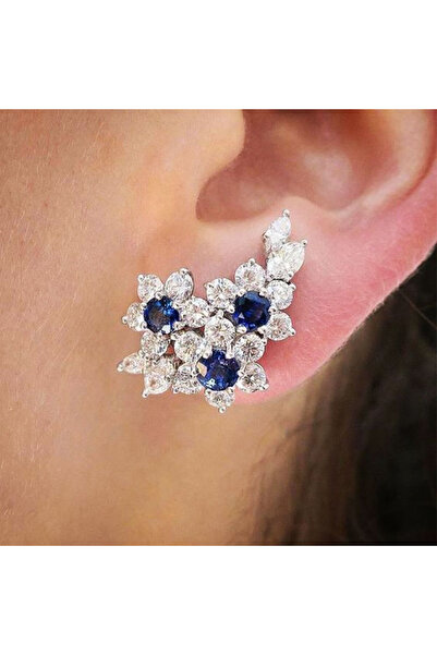Choice3 E1213 Huitan Gorgeous Women's Earrings with Blue/White Round CZ Luxur...
