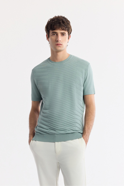 Avva Men's Nile Green Crew Neck Rayon Knitwear Regular Fit T-Shirt A51Y5004