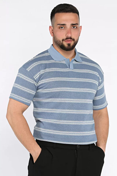TOZLU Polo Neck Striped Men's T-Shirt