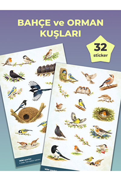 Bahçe ve Orman Kuşları Sticker Seti – Baştankarası, Serçe, Saksağan, Alakarga, Kızılgerdan Çıkartmaları