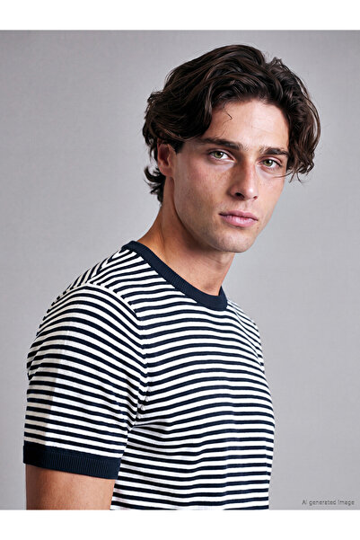 LC Waikiki Peak New Season White Crew Neck Striped Men's Knitwear T-Shirt