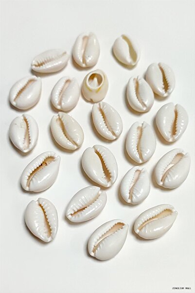 ZERO LAND Zngzrmll 10 Pieces Oyster Horse (61600) Medium Cream