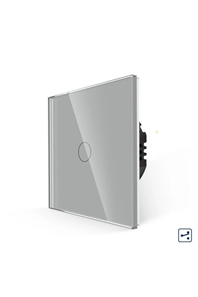 OEM Simple touch switch ladder head / cross head, Luxion LXD-MT-A102G-GY, rec...