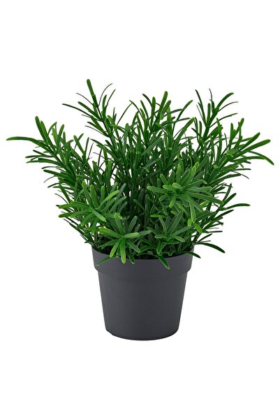 OEM Plantă artificială 9 cm interior/exterior/Rozmarin FEJKA Plante de birou ...