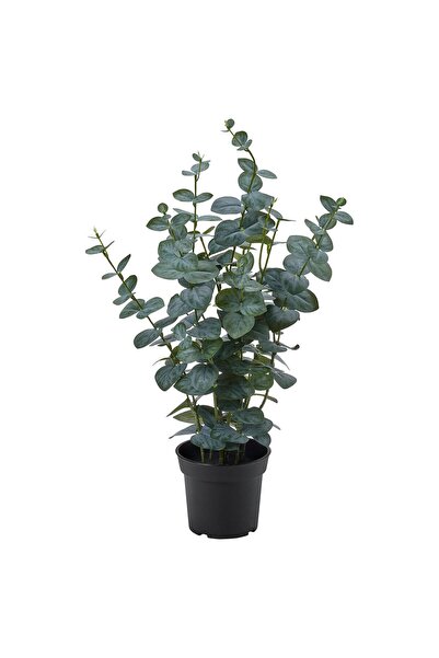 OEM Plantă artificială 15 cm interior/exterior eucalipt FEJKA Plante de birou...