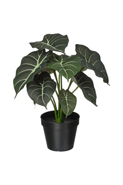 OEM Plantă artificială 12 cm interior/exterior Alocasia FEJKA Plante de birou...