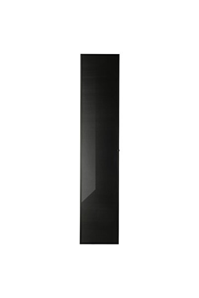 OEM Uşă sticlă 40x192 cm negru HÖGBO Biblioteci