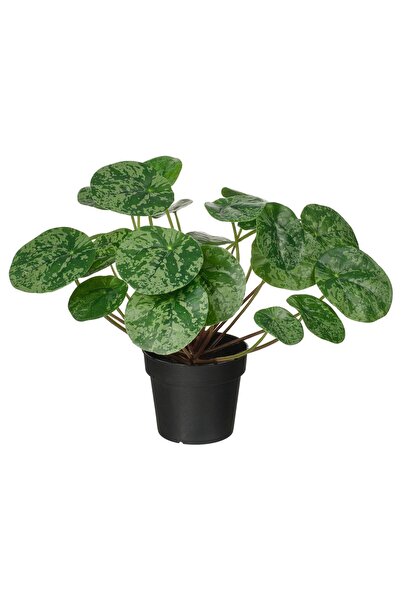 OEM Plantă artificială 9 cm interior/exterior pilea FEJKA Plante de birou art...