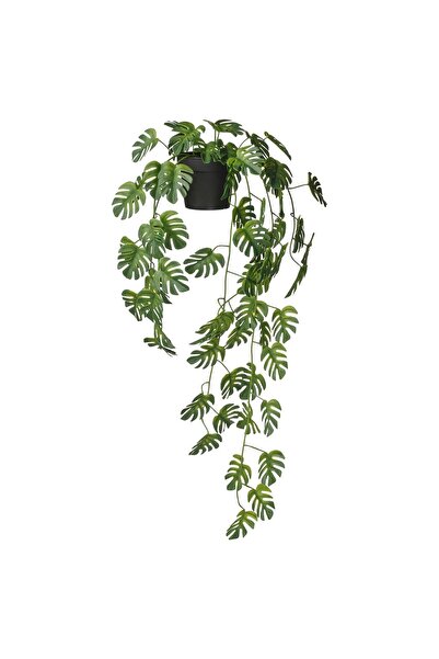 OEM Plantă artificială 9 cm interior/exterior suspendată/Monstera FEJKA Plant...