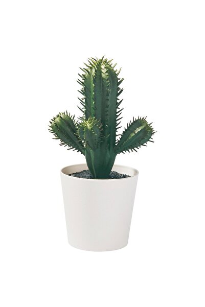 OEM Plantă artificială 6 cm interior/exterior cactus FEJKA Plante de birou ar...