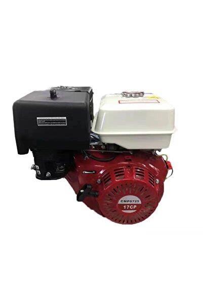 OEM Campion CMP0725 gasoline engine, 190F, 17 HP, 25 mm shaft, universal