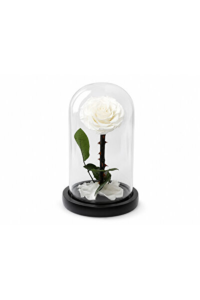 Flower Forever Rose - White