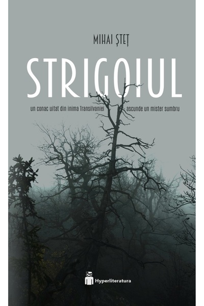 HYPERLITERATURA Strigoiul - Mihai Stet