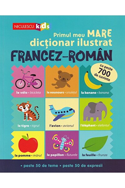 Niculescu Primul meu mare dictionar ilustrat francez-roman
