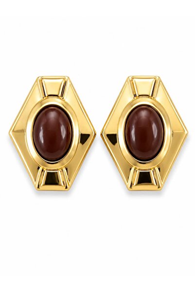 CHARMLUCKY Steel Polyna Earrings