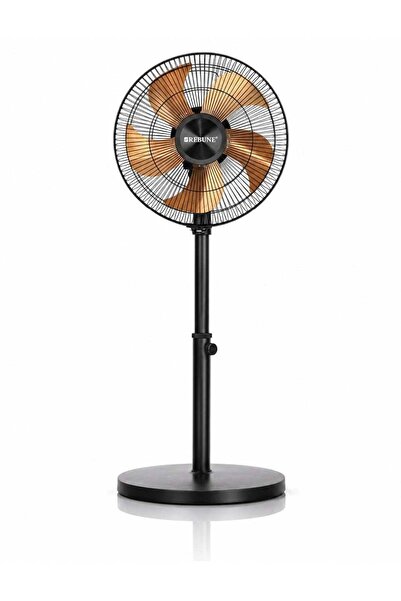 rebune Stand Fan 12-Inch, 45 W, 4 Speeds, Adjustable Tilt, Stable Base