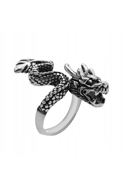 ITIMPORT Inel de nuntă, Sigiliu Dragon, Reglabil, Vintage, Bărbătesc, Argintiu