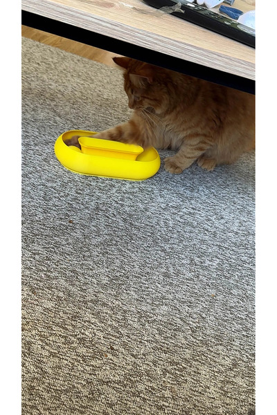 zengolab3d Cat Toy Oval Interactive Cat Play Accessory Pet Toy