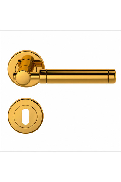 Condi Collection 303 Pvd Gold Room Stainless Door Handle