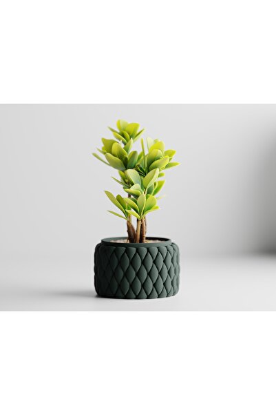 LayerCrew Ghiveci decorativ Tilani 10.5 cm 6.1 cm 10.5 cm Forest Green
