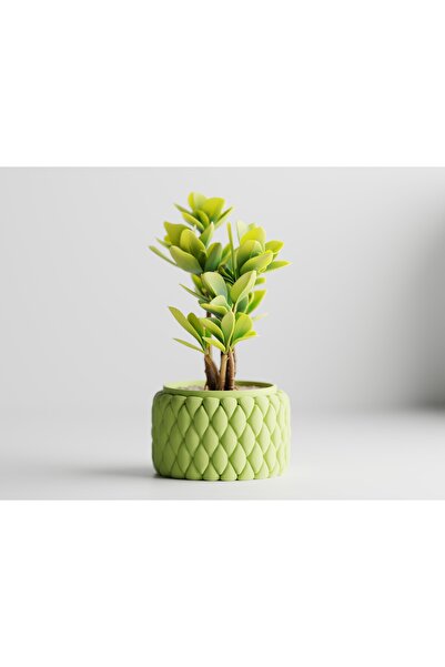 LayerCrew Ghiveci decorativ Tilani 10.5 cm 6.1 cm 10.5 cm Apple Green