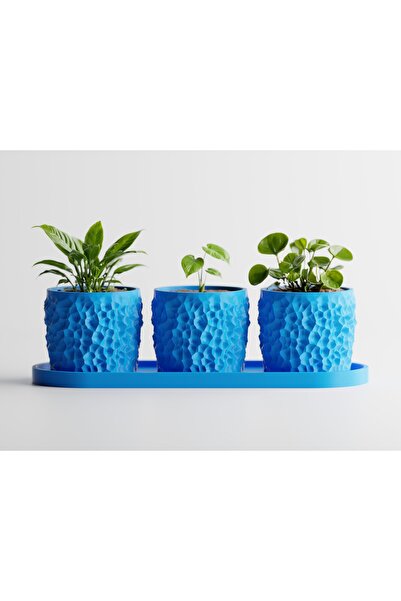 LayerCrew Set 3 ghivece cu tavă Piccola 7 cm 7.8 cm 22.1 cm Cyan