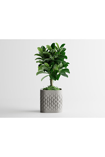 LayerCrew Ghiveci decorativ Ondra 60 mm 65 mm 65 mm 65 mm Light Gray
