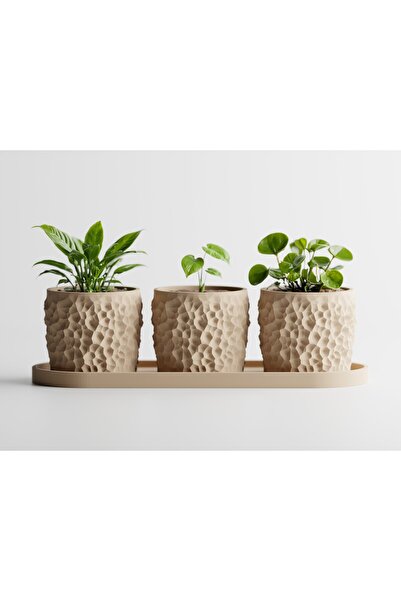 LayerCrew Set 3 ghivece cu tavă Piccola 7 cm 7.8 cm 22.1 cm Desert Tan