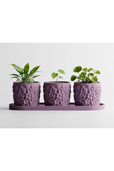 LayerCrew Set 3 ghivece cu tavă Piccola 7 cm 7.8 cm 22.1 cm Mov deschis