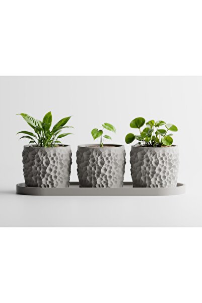 LayerCrew Set 3 ghivece cu tavă Piccola 7 cm 7.8 cm 22.1 cm Gray