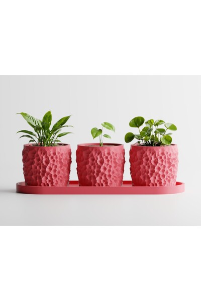 LayerCrew Set 3 ghivece cu tavă Piccola 11 cm 24.2 cm 24.2 cm Pink