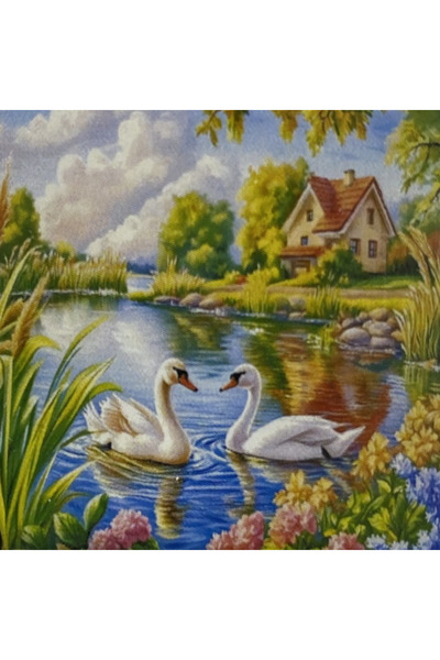 EleganTShoP 5D Yapışan Boncuk Mozaik Tablo 30*40 cm L27