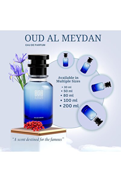OUD AL MEYDAN Oil Based Perfume for Women – Fasshion Decrree Womann Inspired Floral Woody with Pink Pepper, Magnolia & Patchouli – Alcohol-Free – 8 Hr Longevity for Graceful Elegance (30 ML)