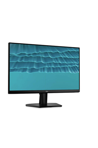 Dell 24 Monitor