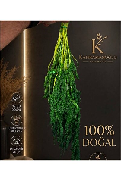 KAHRAMANOGLU FLOWERS Gerçek yeşil Amarantus