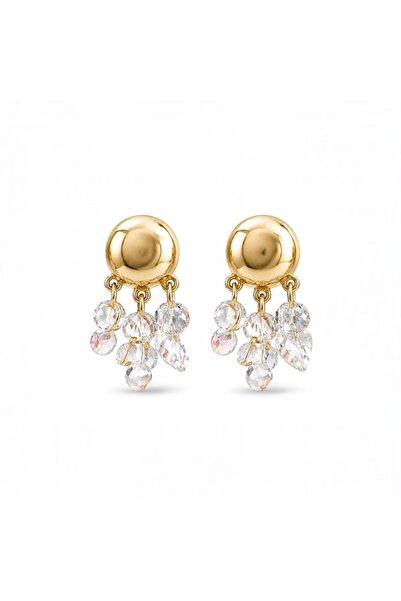 neslyaccessories Vip Series Earrings
