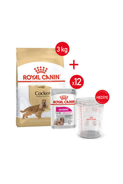 Royal Canin Cocker Kuru Köpek Maması + Exıgent 12*85 Yaş Mama+ Saklama Kabı