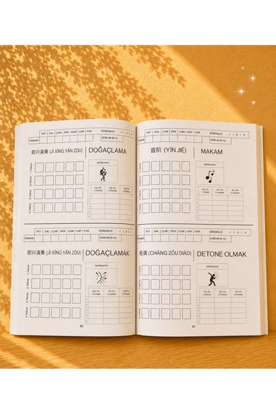ZUGZWANG C2 Chinese Vocabulary Activity Book |   Advanced Level Words