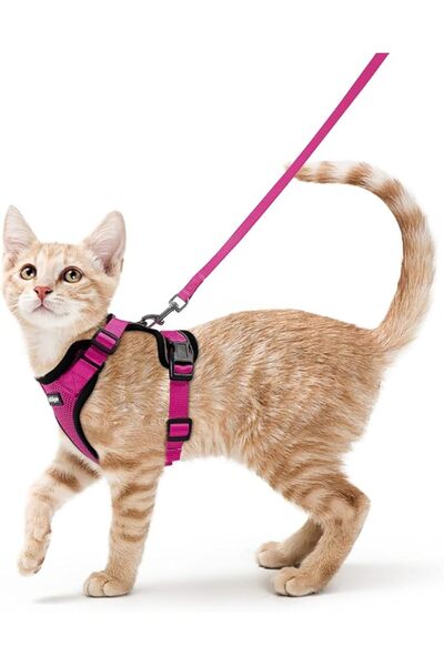 Rabbitgoo Rabigoo Cat Walking Harness and Leash, Soft Adjustable Escape-Proof...