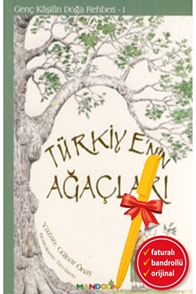 Mandolin Yayınları Alfa Kalem+Türkiye’nin Ağaçları (Gülnar Önay)Çocuk Hikaye ...