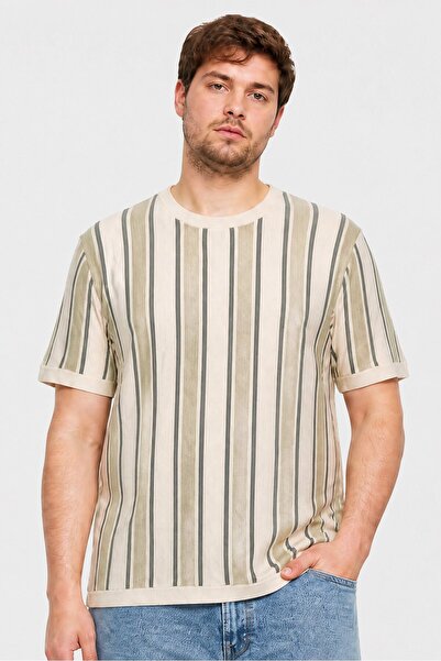Brave Soul Men Regular Fit Stripe Short Sleeve T-Shirt, Multicolor