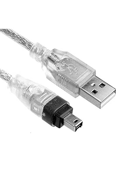 GENERAL Iwinner USB 10 Pin to USB Data Sync Cable Compatible with Sony Handyc...