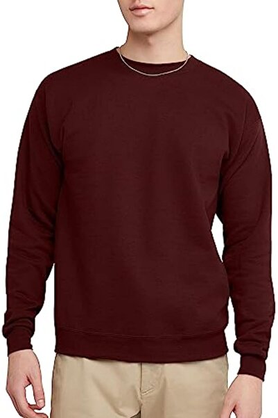 HANES Hans men's ecosmart technology sweatshirt