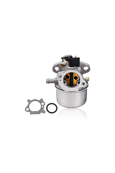 Morvena Picks Carburator cu lanț pentru Briggs & Stratton Quantum Engine 4989...