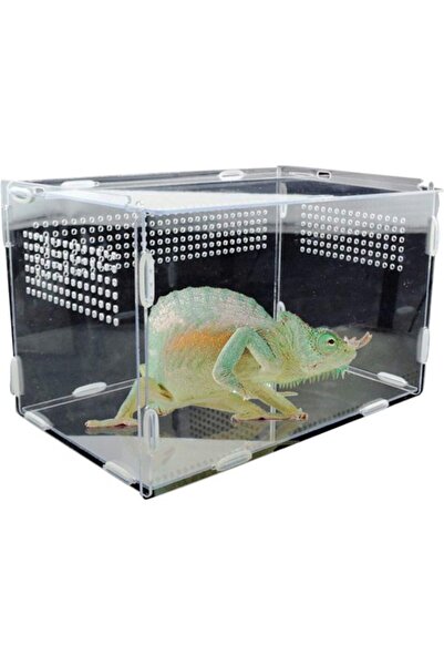 Morvena Picks Incinta pentru reptile - hranitoare/cutie pentru insecte - cusc...