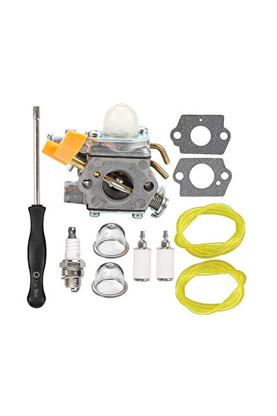 Morvena Picks Ansamblu carburator 308054043 - RY09800 RY28021 - Cu furtun de ...