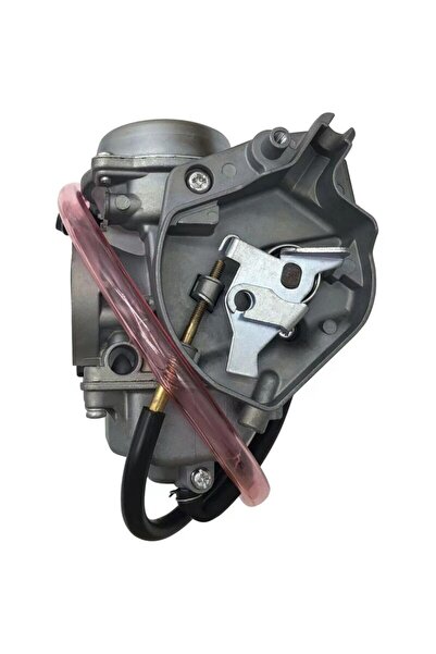 Morvena Picks Carburator de motocicleta compatibil cu Arctic Cat 250 300